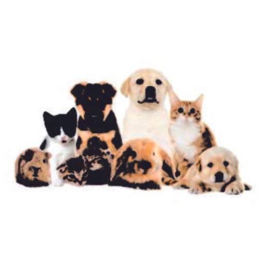 Terapia Integrativa para Animais/Pet - Bem-Estar para seus Companheiros em Itatiba