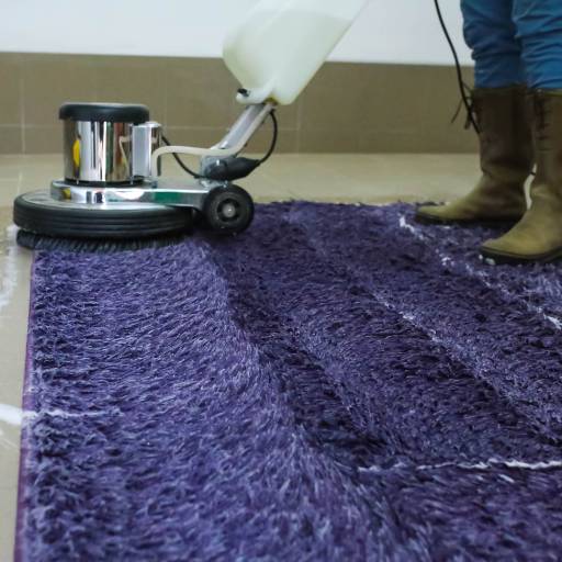 Limpeza de Tapetes em Bauru por Lavanderia WS