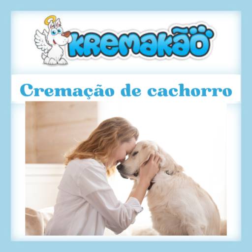 Onde Cremar Cachorro em Itapetininga, Araçoiaba, Entre outras)