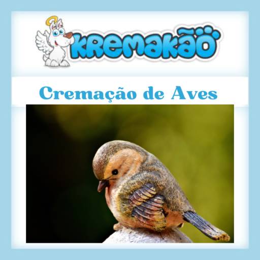Onde Cremar Aves em Itapetininga, Araçoiaba, entre outras. 