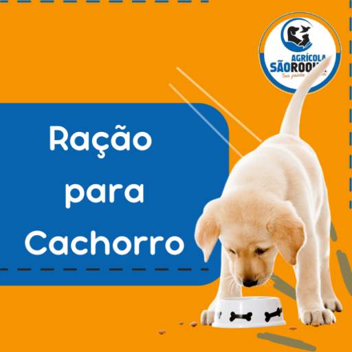 Lugar para Comprar Ração de Cachorro Barata em Itapetininga 