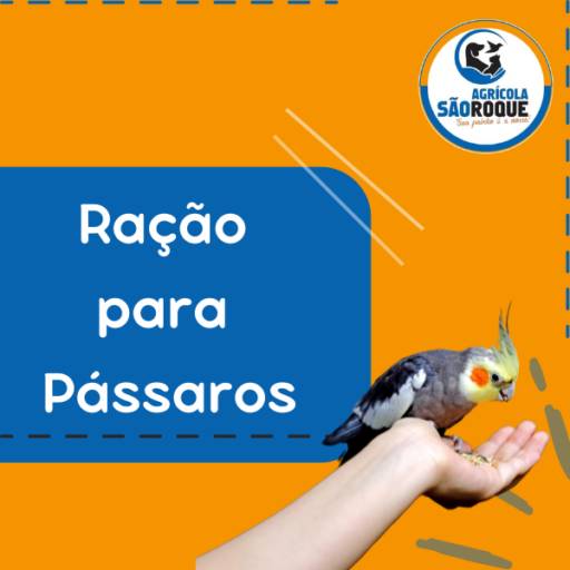 Onde Comprar Ração para Pássaros em Itapetininga?