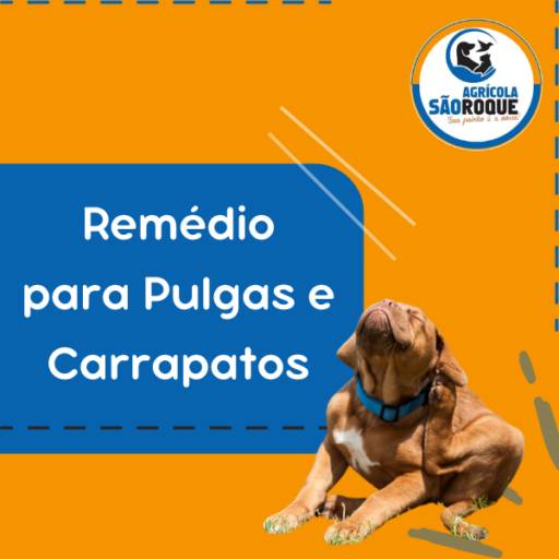 Comprar Remédio para Pulga e Carrapato em Itapetininga