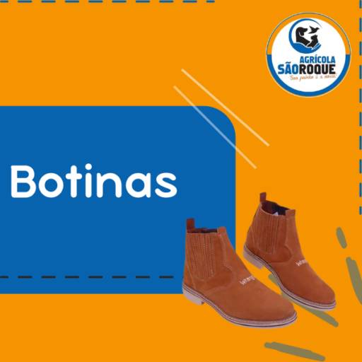 Botinas 