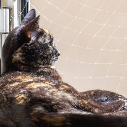 Rede de Proteção em São Caetano: Segurança e Tranquilidade para sua Família por América Proteção 