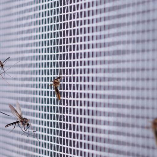 Rede de Proteção em Praia Grande: Segurança e Tranquilidade para sua Residência por América Proteção 