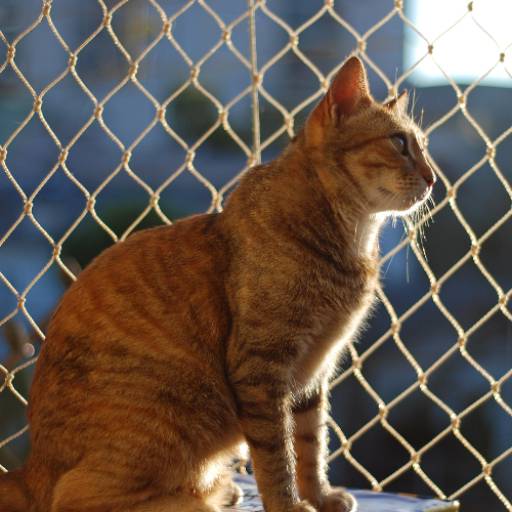 Tela de Proteção no Guarujá: Segurança e Tranquilidade para sua Residência à Beira-Mar por América Proteção 
