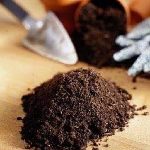 Terra Preta R$200,00