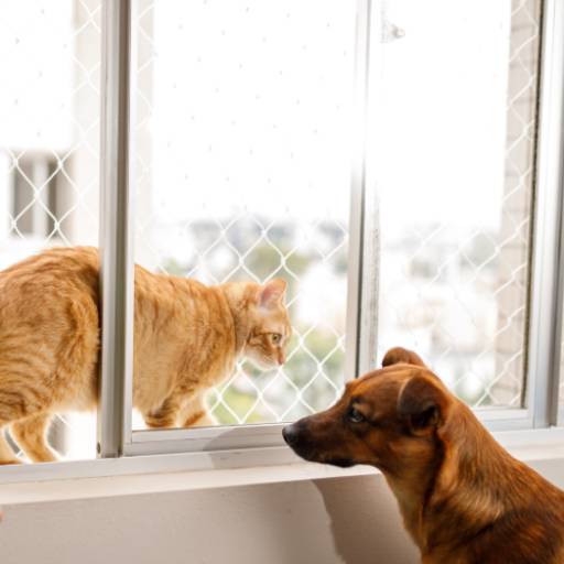 Rede de Proteção para Prédio e Condomínio em SP: Tranquilidade Garantida por América Proteção 