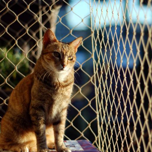 Instalação de Rede de Proteção em Mauá: Segurança Residencial Garantida