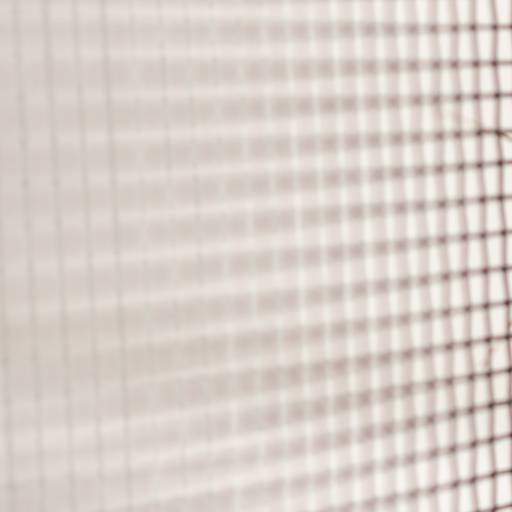 Rede de Proteção para Gatos no Tatuapé: Liberdade Segura para Seus Felinos