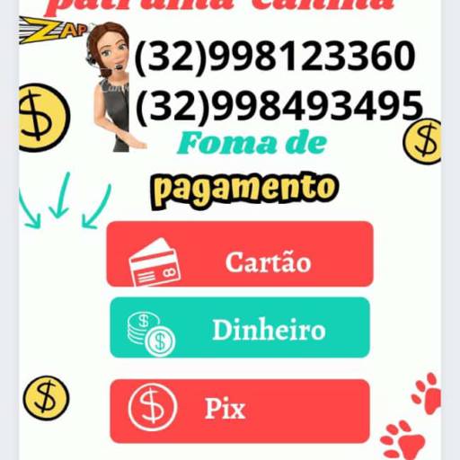 Banho e Tosa 