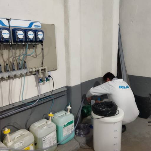 Lavagem de Tapetes - Renovação de Ambientes - Praia Grande