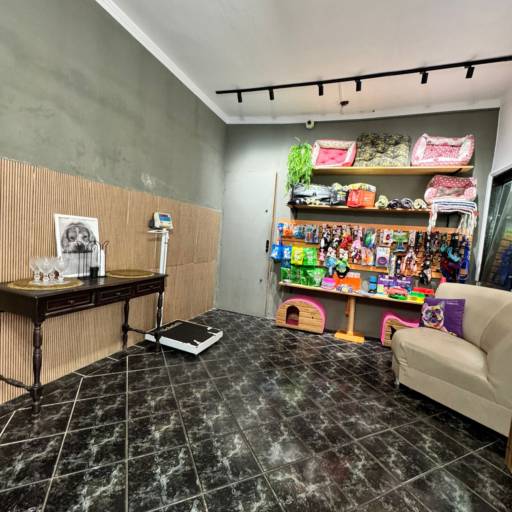 Pet Store - Conforto e Segurança para Seu Pet em Praia Grande