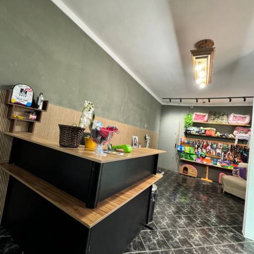 Pet Store - Conforto e Segurança para Seu Pet em Praia Grande por Forte dos Pets Praia Grande