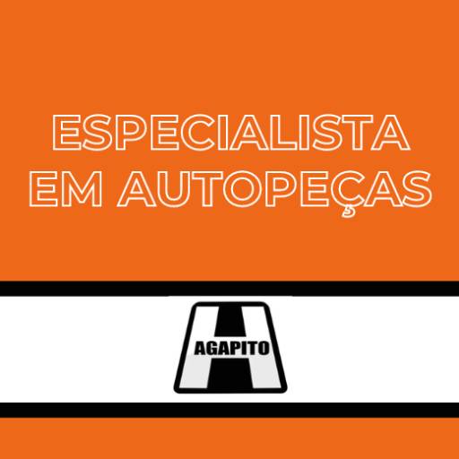 Loja especializada em autopeças Itapetininga