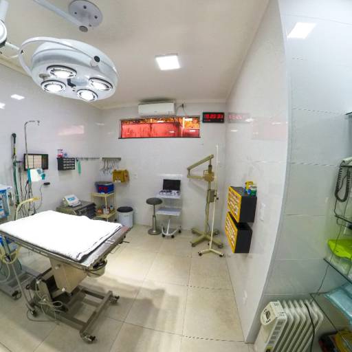 Centro Cirúrgico Completo em Itatinga: Tecnologia Avançada para o Cuidado do seu Pet por Genari Policlínica