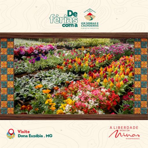 Tá de FÉRIAS? Visite: Dona Euzébia-MG 