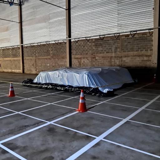 Fumigação Fosfina por Palloni Ambiental Expurgos Ltda.