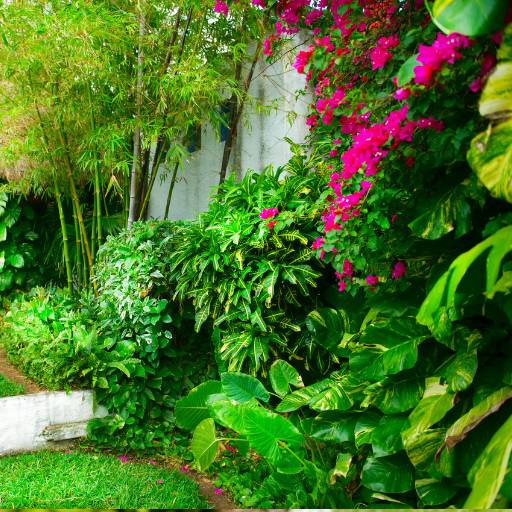 Flores de Alta Qualidade em Águas de Santa Bárbara por Live Art