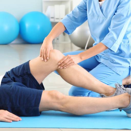 Fisioterapia Integrativa