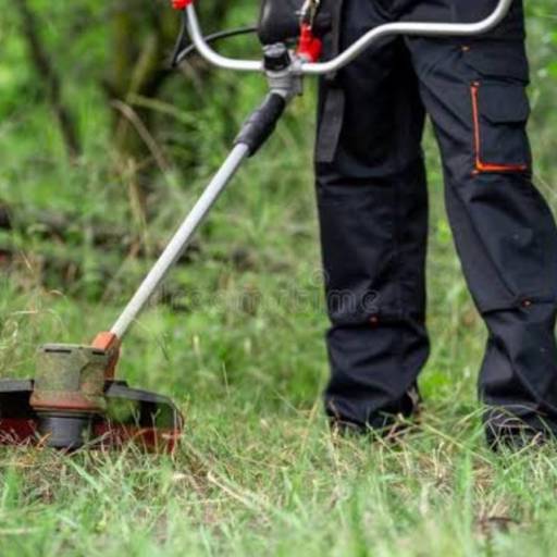 Manutenção e poda de grama de quintal  por Vítor Luis Telas, Alambrados, Paisagismo e Jardinagem 
