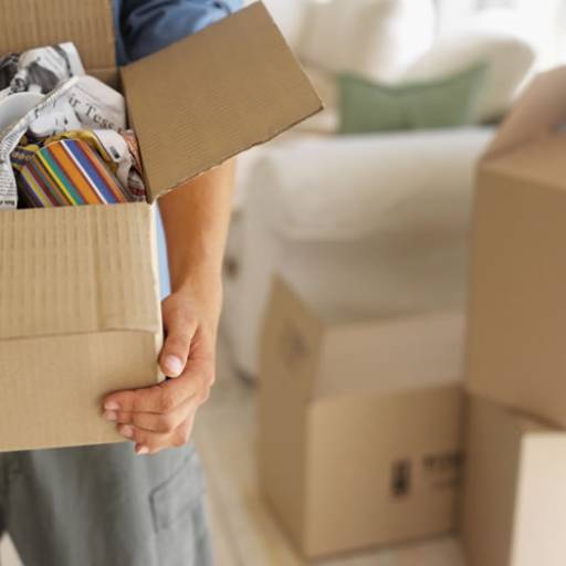 Fretes e mudanças por Vítor Luis Telas, Alambrados, Paisagismo e Jardinagem 