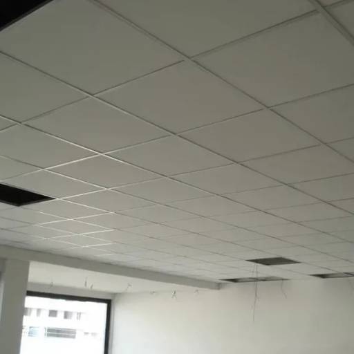 Forro Mineral - Isolamento Acústico Superior em Lagoa da Prata