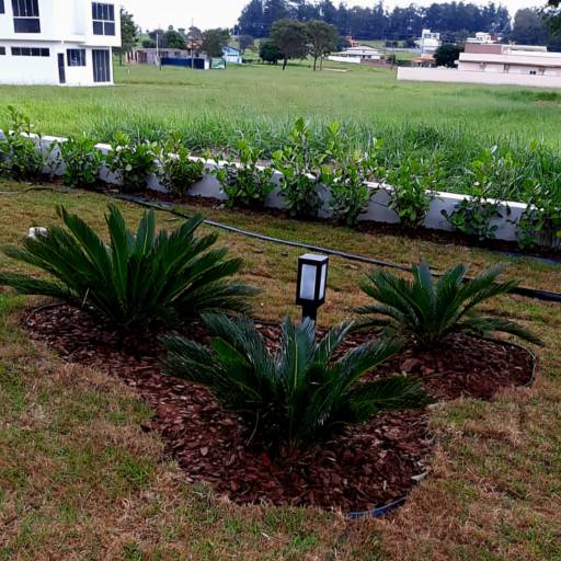 Paisagismo de Excelência - Beleza e Valorização para Seu Imóvel em Santa Bárbara Resort Residence, SP