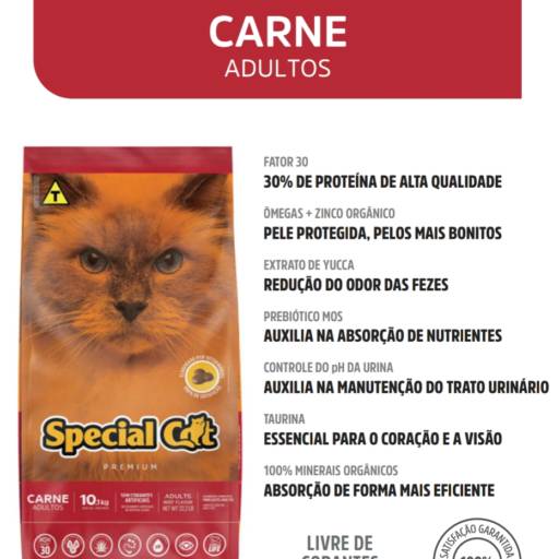 Special Cat Carne Adulto