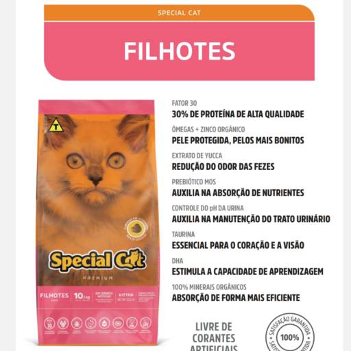 Special Cat Filhotes
