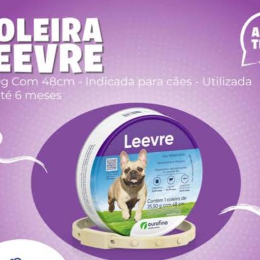 Coleira Leevre