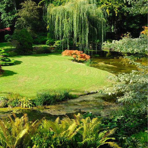Projeto de Jardinagem em Bauru