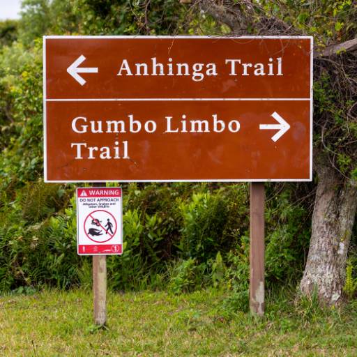 Placas e Sinalização - Segurança e Visibilidade em São Manuel | Imagem Comunicação Visual