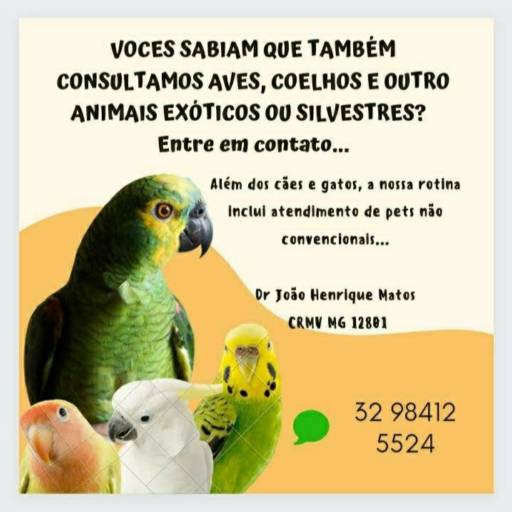 Vocês sabiam???