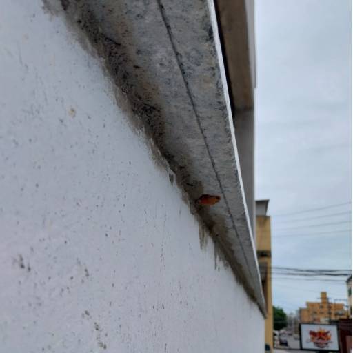 Realizando Sonhos com Cores: A História de Benedito Marchesi e FB Pinturas e Acabamentos em Guarapari/ES por FB Pinturas e Acabamentos