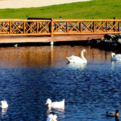 Pergolado, Quiosque, Cerca, Parque Infantil, Curral e Escora para Plantação – Soluções Personalizadas em Recife, PE por Madeireira Eucaliptus