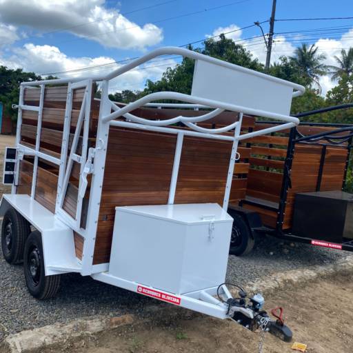 Reboque de Cavalo em Feira de Santana com Segurança