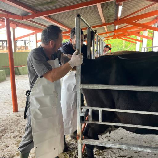 Treinamentos Agropecuários - Maximize a Eficiência Reprodutiva com I.A.T.F. Pró - Avaré