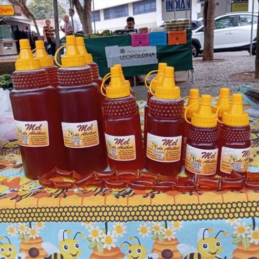 Mel de Abelhas na Feira do Produtor Rural  