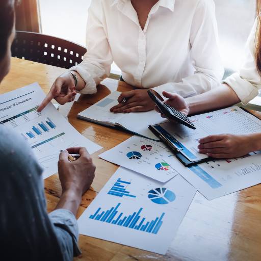 Imposto de Renda Pessoa Física - Declaração Completa e Segurança Patrimonial - Itu-SP