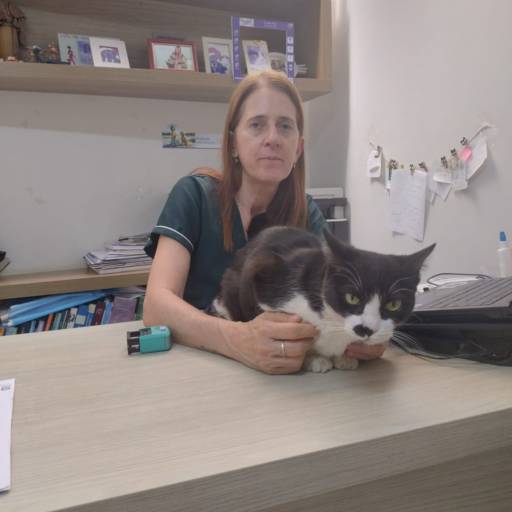Clínica Veterinária para Cães e Gatos - Atendimento Completo e Especializado em São Manuel/SP