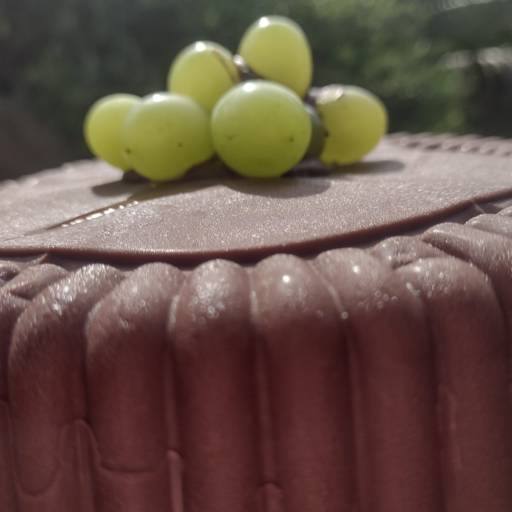 Encomende já a sua! por Delícias da Casa - Bruna Santos 