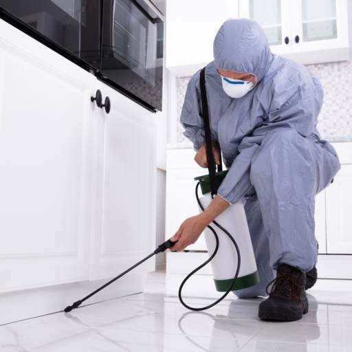 Dedetização de Baratas - Controle Eficaz e Seguro em Ramos, Rio de Janeiro