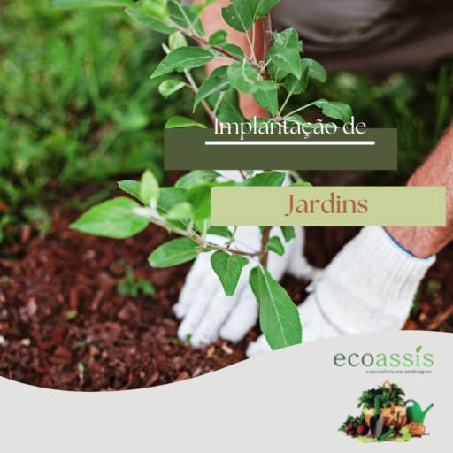 Implantação de Jardins - Criação de Espaços Verdes Personalizados - Assis/SP