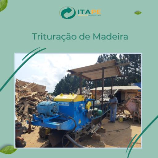 Trituração de Madeira em Itapetininga