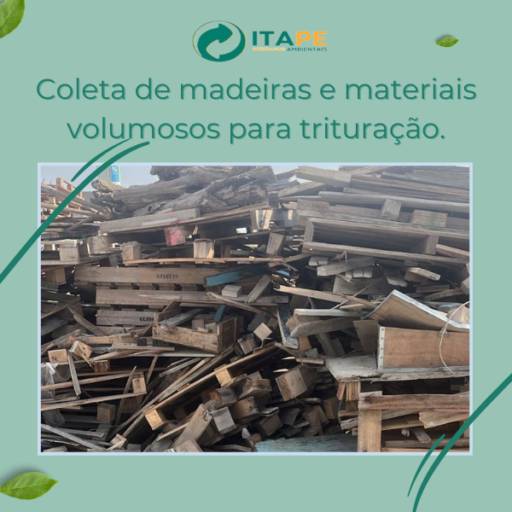 Coleta de Madeiras e Materiais Volumosos para Trituração em Itapetininga