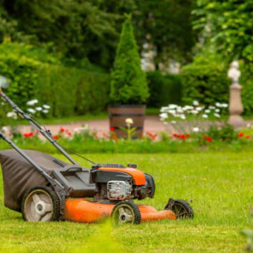 Manutenção de Jardins: Beleza e Saúde para seu Espaço Verde em Riviera de Santa Cristina XIII