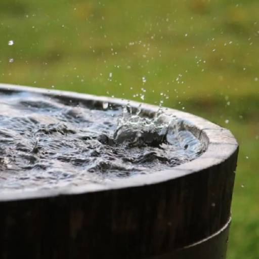 Captação de Água de Chuva - Economia e Sustentabilidade em Salvador, BA por ACQUA SERVICE