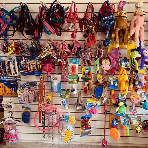 Acessórios Diversos - Brinquedos e Coleiras